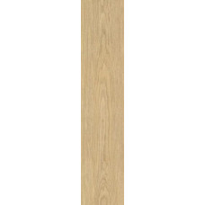 Intrecci Miele RT