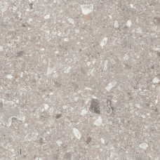 Mystone Ceppo Di Gre Greige Natural RT 60х120
