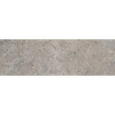 Gris Fleury Taupe Ret. 30x120