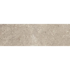 Gris Fleury Beige Ret. 30x120