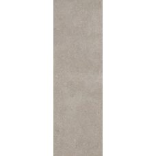Silver Stone Grigio Rt 30x120