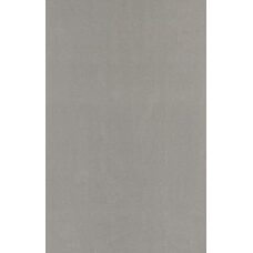 Neutro Grigio Chiaro Rt 60x120