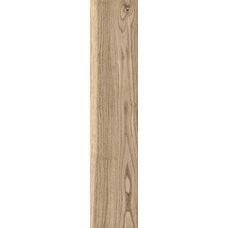 Treverkmore Oak