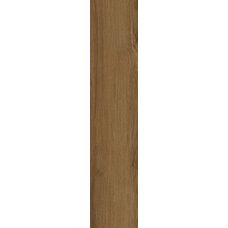 Treverklife Walnut RT