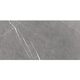 BEATRIS GREY (1 сорт)