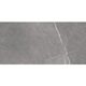 BEATRIS GREY (1 сорт)