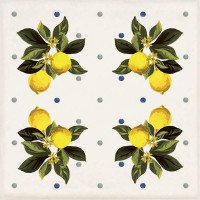 Декор CSAGIMXL20 Vita Giardino Bianco Mix Luc 200x200x10 Sant'agostino