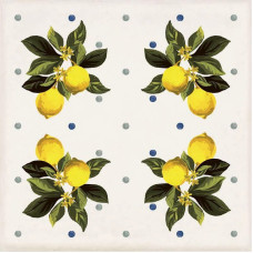 Декор CSAGIMXL20 Vita Giardino Bianco Mix Luc 200x200x10 Sant'agostino