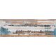 Декор Snowdrops Lines 20x60 код 9204 Церсаніт
