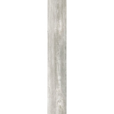 Bone
