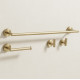 набір аксесуарів Rea Ari brush gold (REA-05001)