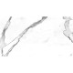 GQW8321P CARRARA/ GQP8321P 60X120CM (1 сорт)