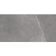 BEATRIS GREY (1 сорт)
