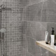 BEATRIS GREY (1 сорт)