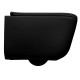 5191 31 Tribeca кришка для унітазу SLIM quick-fix, soft-close, петлі хром, чорний матовий (1 сорт)
