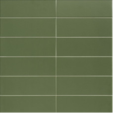 JUNGLE OLIVE (1 сорт)