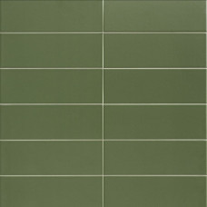 JUNGLE OLIVE (1 сорт)
