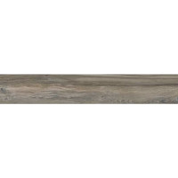 BASE LIZANA OLIVO C-1 (1 сорт)