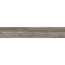 BASE LIZANA OLIVO C-1 (1 сорт)