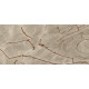 774902 NATURE MOOD RAINFOREST GLOS 6M 60X120 RT (1 сорт)