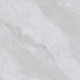 JW69101 DION (1 сорт)