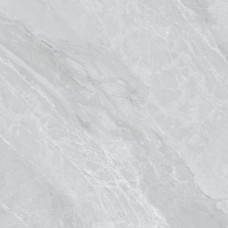 JW69101 DION (1 сорт)