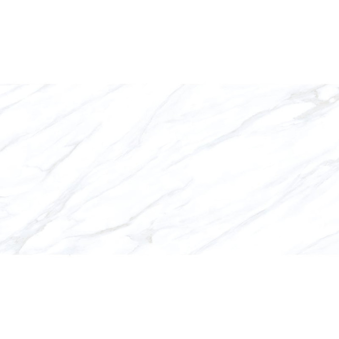 PY71546 CAPRIS (1 сорт)