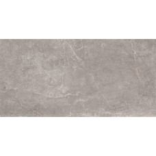 CONCEPT GREY RECTIFICADO 60X120 (1 сорт)