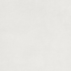 EXTRA DAR62722 white (1 сорт)