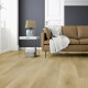 Вінілове покриття Oak Zandvoort* SOLID 2467 / 1101290204 (1 сорт)
