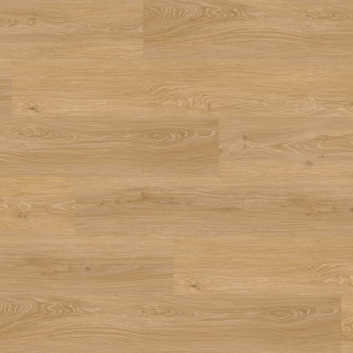 Вінілове покриття Oak Den Haag* SOLID 2460 / 1101290010 (1 сорт)