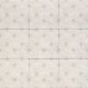 GLAMOUR WHITE (1 сорт)