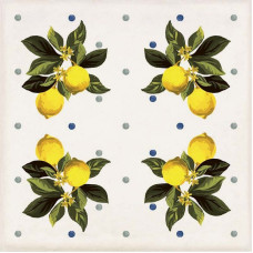 Декор CSAGIMXL20 Vita Giardino Bianco Mix Luc 200x200x10 Sant'agostino