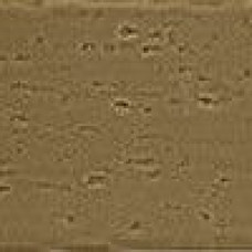 Aura Moss 10х30 Glossy