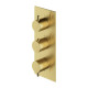 термостат для душу та ванни Omnires Y прихованого монтажу brushed brass (Y1238-KROBSB)