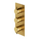 термостат для душу та ванни Omnires Y зовнішня частина brushed gold (Y1238-KROGLB)