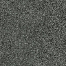 Forest Green 60х120 Natural plus