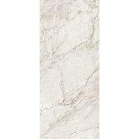 Allure Paonazzetto Smooth 120х278