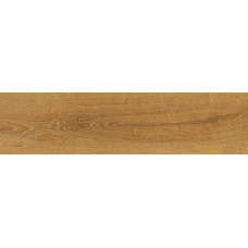 Canadian Wood Honey