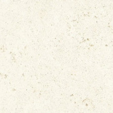 Buxy Corail Blanc 100х300