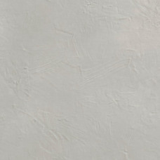 Avenue Xxl Silver 100х300