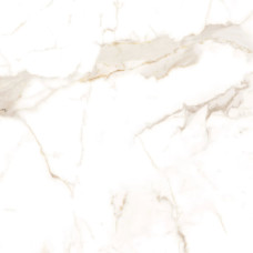 Alcora gold F P 600x600x8 R Glossy