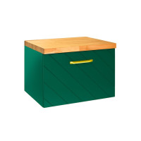 Тумба під умивал.без стільниці FLOO 60 L 60x50x40 +сифон, зол. ручка, візерунок зліва, зелена