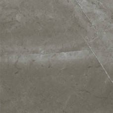 FENIX GRIS REC.