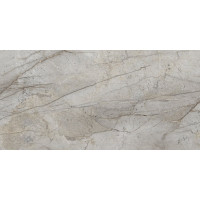 ESSENCE GREY REC NPLUS