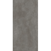Art Anthracite F P 600x1200x8 R Mat