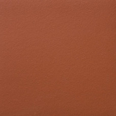 Клінкерна Плитка 24*24 Patrizierrot 1610.215