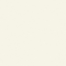 Плитка 50*100 Basic Blanco 3,5 Mm