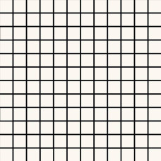 Мозаїка 30*30 Tempera Bianco R70T