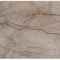 Плитка 59,55*59,55 Wild Forest Grey Polished